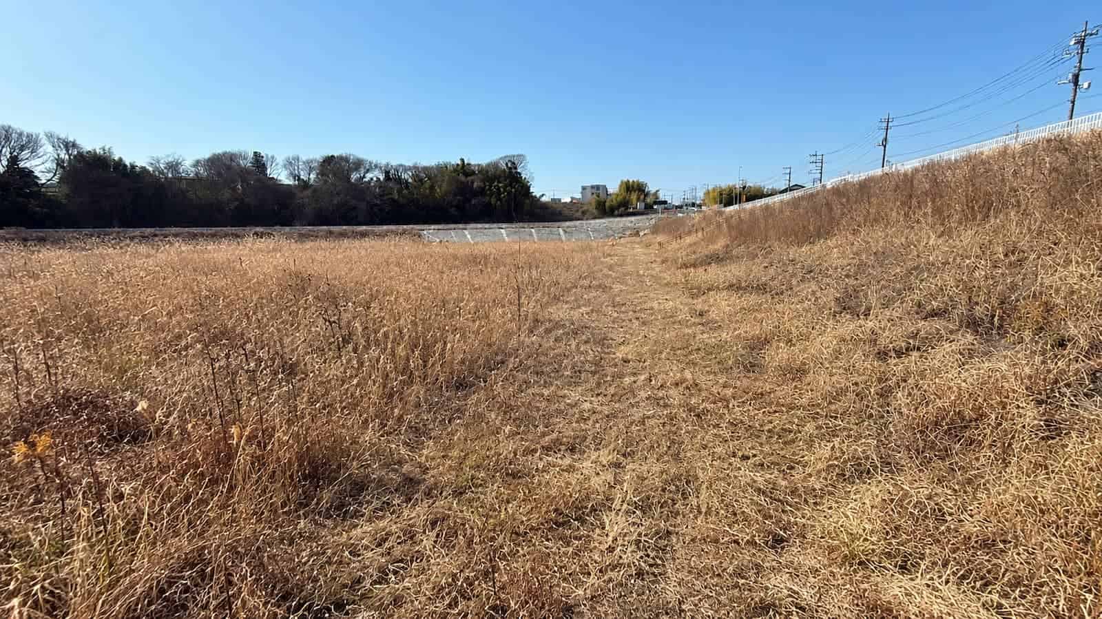 伊勢原市の造成地。舗装前、一面が枯れ草に覆われた状態
